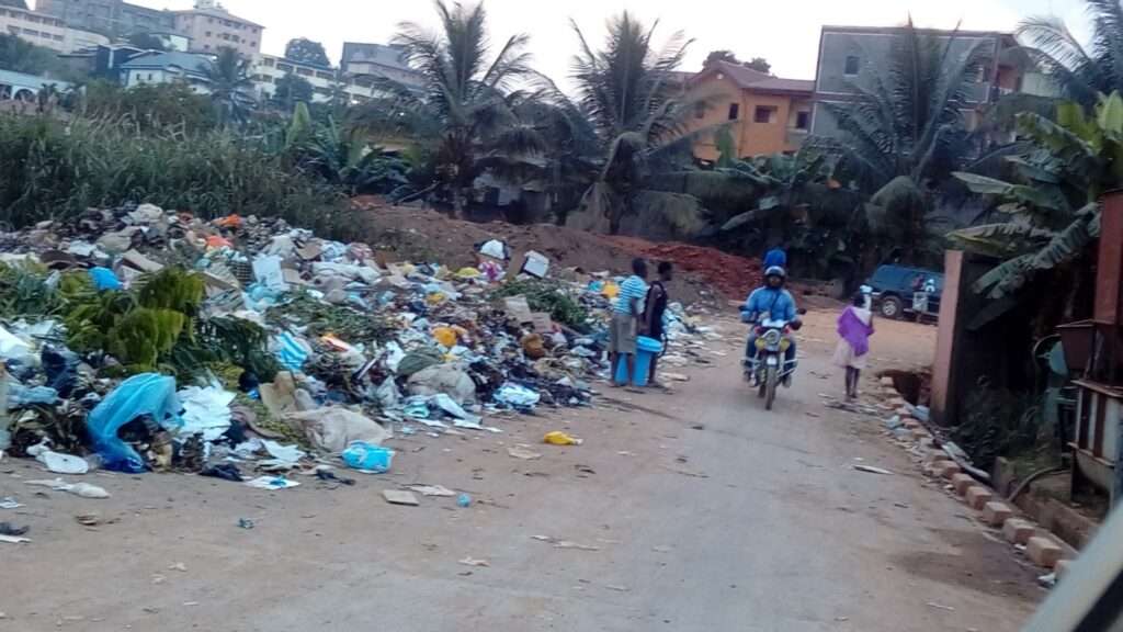 Waste in Cameroon: A Growing Public Health Threat